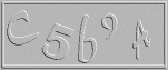5.gif